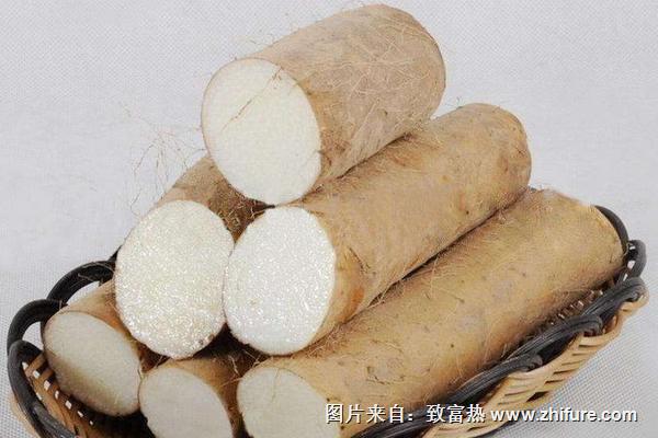 淮山藥的功效與作用及禁忌