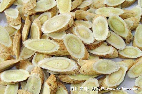 2018種黃芪賺錢嗎？黃芪種植的利潤與投資成本及前景預測