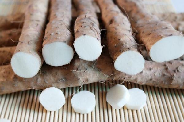 淮山藥圖片大全