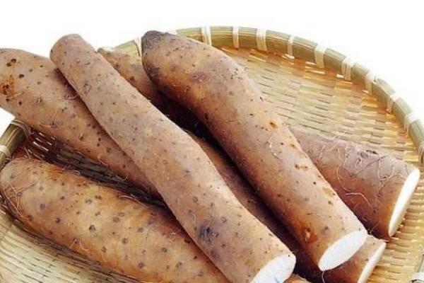 淮山藥圖片大全