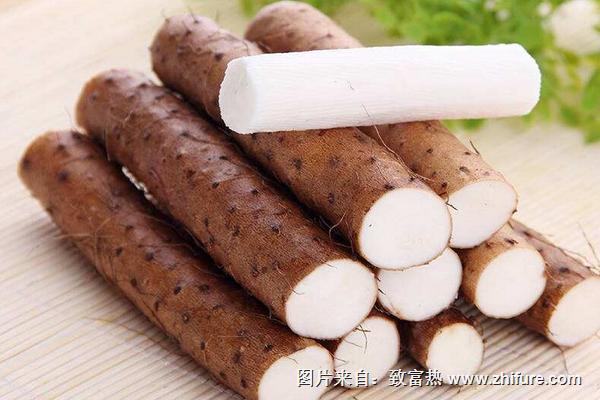 淮山藥怎么吃