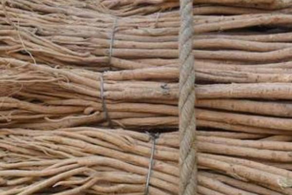 2018種黃芪賺錢嗎？黃芪種植的利潤與投資成本及前景預測