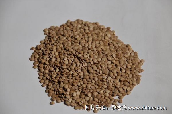 茄子種子催芽方法