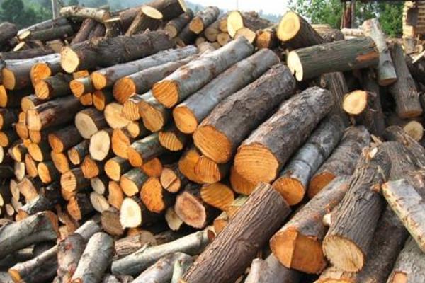 香椿木是幾等木材