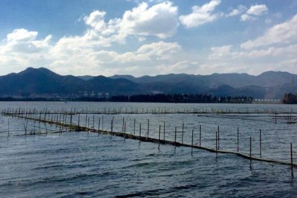 搞農業哪些項目是不用交稅的？