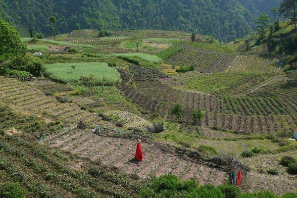 搞農業哪些項目是不用交稅的？