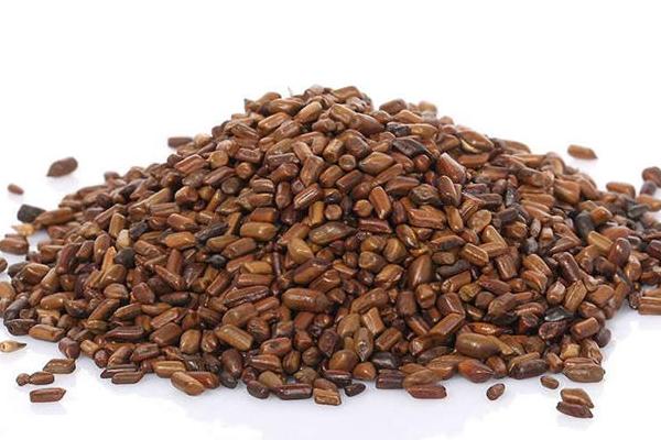 2018種決明子賺錢嗎?決明子種植的利潤與投資成本及前景預(yù)測