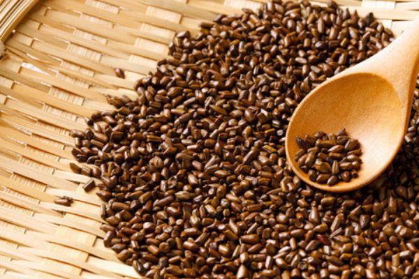 2018種決明子賺錢嗎?決明子種植的利潤與投資成本及前景預(yù)測