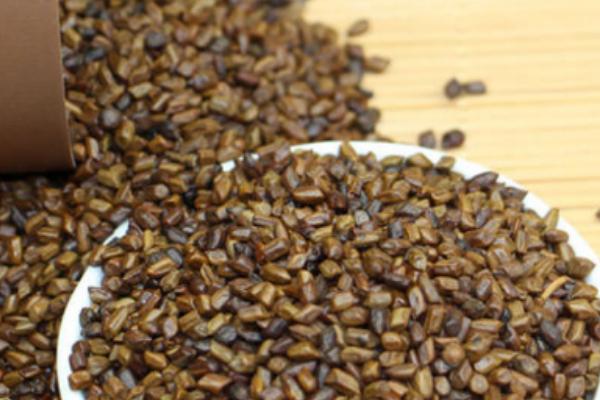 2018種決明子賺錢嗎?決明子種植的利潤與投資成本及前景預(yù)測