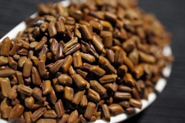 2018種決明子賺錢嗎?決明子種植的利潤與投資成本及前景預(yù)測