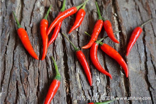 小米辣和朝天椒哪個辣