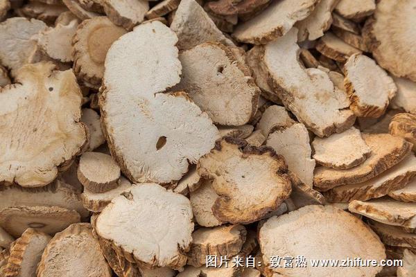 2018種白芷賺錢嗎？白芷種植的利潤與投資成本及前景預測