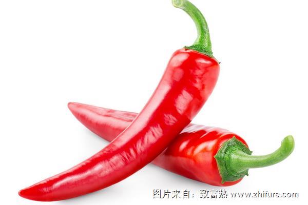 朝天椒辣度怎么樣