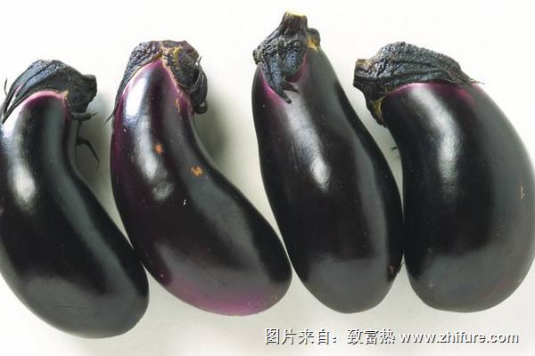 茄子圖片大全