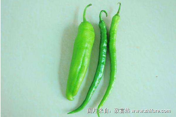 尖椒品種有哪些