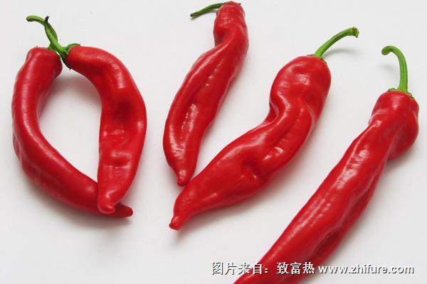 尖椒價格多少錢一斤