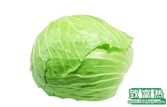 2017種甘藍賺錢嗎？2017種甘藍前景及市場價格行情分析