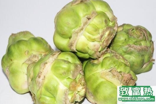 2017種榨菜賺錢嗎?2017種榨菜前景及市場價格行情分析