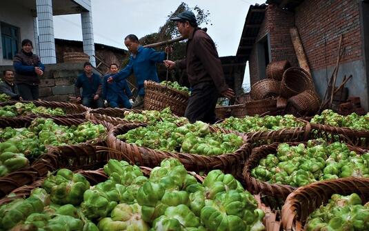 榨菜的營養(yǎng)價(jià)值及功效作用