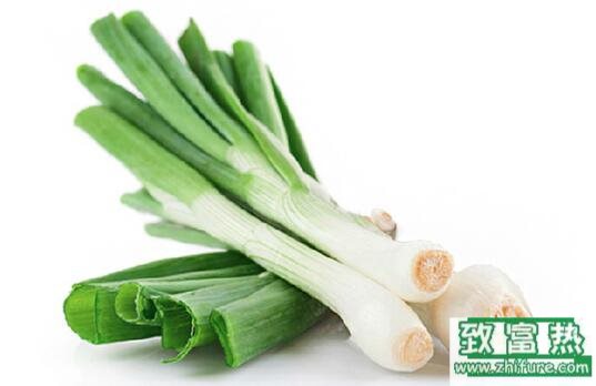 2017種大蔥賺錢嗎？2017種大蔥前景及市場價格行情分析