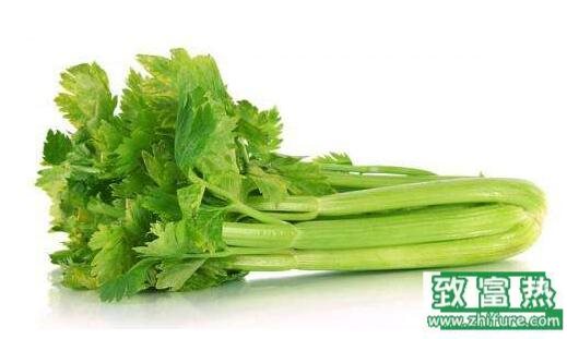 2017種芹菜賺錢嗎？2017種芹菜前景及市場價格行情分析