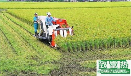 水稻收割機設備的使用與保養大全