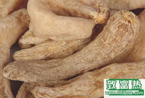 2017種天麻賺錢嗎?2017種天麻前景及市場價格行情分析