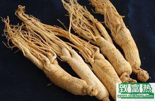 2017種西洋參賺錢嗎？2017種西洋參前景及市場價格行情分析