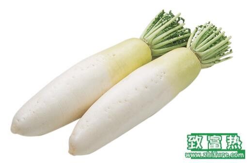 2017種蘿卜賺錢嗎？2017種蘿卜前景及市場價(jià)格行情分析