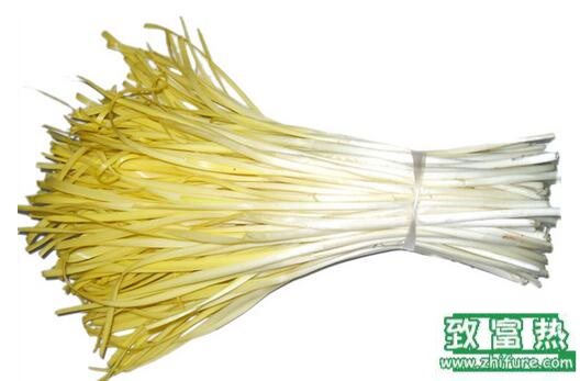 2017種韭黃賺錢嗎?2017種韭黃前景及市場價格行情分析