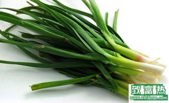 2017種蒜苗賺錢嗎?2017種蒜苗前景及市場價格行情分析