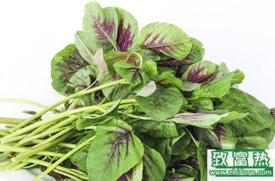 2017種莧菜賺錢嗎？2017種莧菜前景及市場價格行情分析