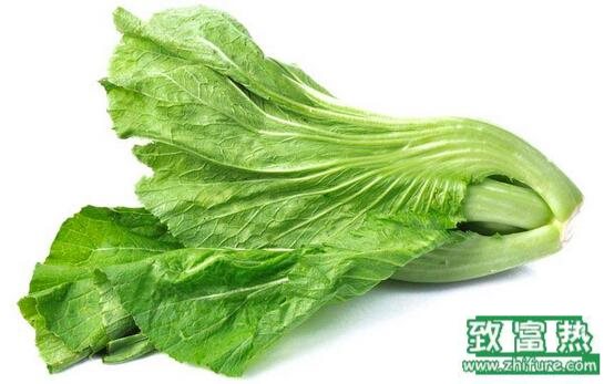 2017種芥菜賺錢嗎？2017種芥菜前景及市場價格行情分析