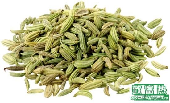 2017種茴香賺錢嗎？2017種茴香前景及市場價格行情分析