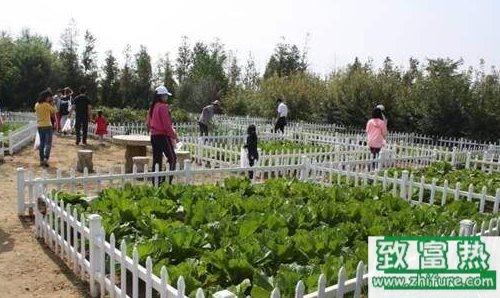 五個小本經營的項目