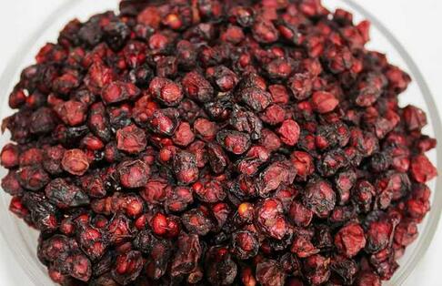 2017種五味子賺錢嗎？