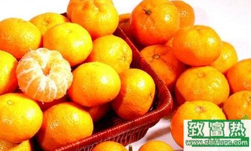 砂糖橘的種植技術(shù)