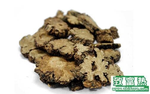 2017種川芎賺錢嗎？2017種川芎前景及市場價格行情分析