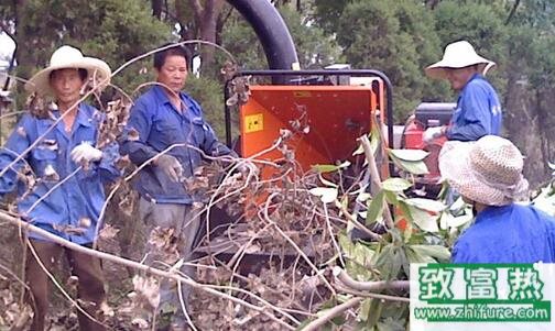 樹枝粉碎機(jī)操作注意事項(xiàng)和維護(hù)