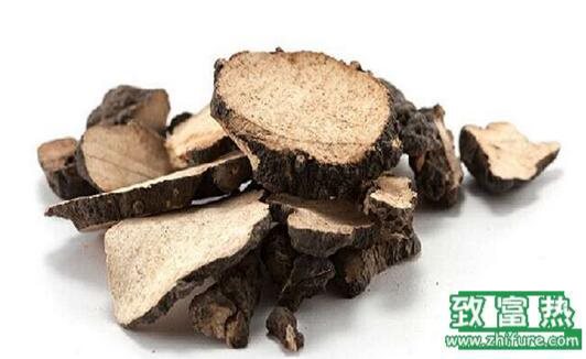 2017種豬苓賺錢嗎？2017種豬苓前景及市場價格行情分析