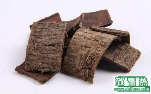 2017種杜仲賺錢嗎？2017種杜仲前景及市場價格行情分析