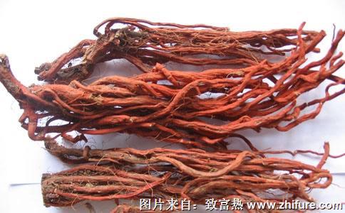 2017種丹參賺錢嗎？2017種丹參前景及市場價格行情分析