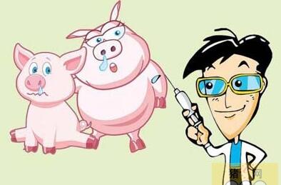 豬常見病用藥5個處方