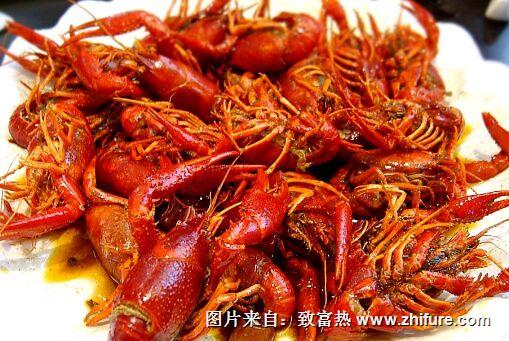 小龍蝦應該如何養殖呢？