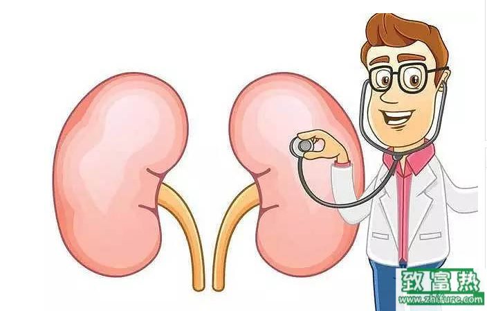 補腎的食物有哪些？