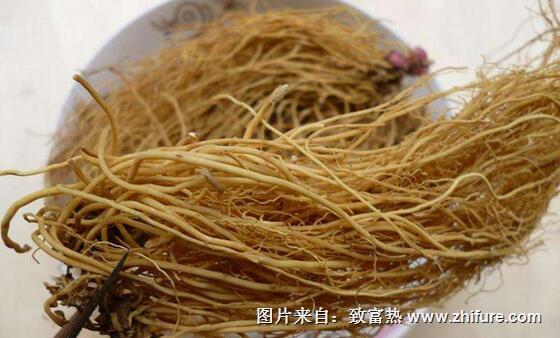 2017種細辛賺錢嗎?2017種細辛前景及市場價格行情分析