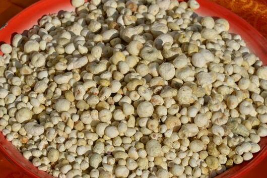 2017種半夏賺錢嗎?