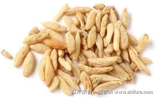 2017種麥冬賺錢嗎？2017種麥冬前景及市場價格行情分析