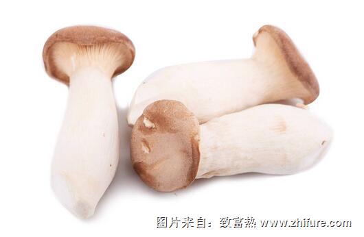 2017種杏鮑菇賺錢嗎？2017種杏鮑菇前景及市場(chǎng)價(jià)格行情分析