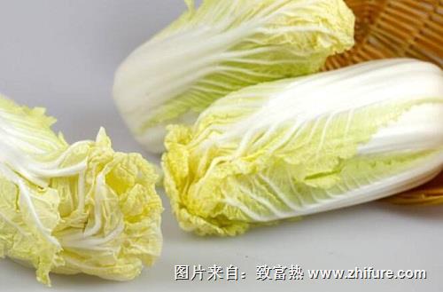 娃娃菜栽培技術